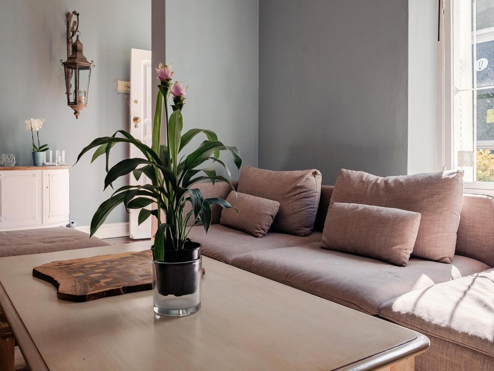 Purple House Accommodations Кейптаун Стая снимка
