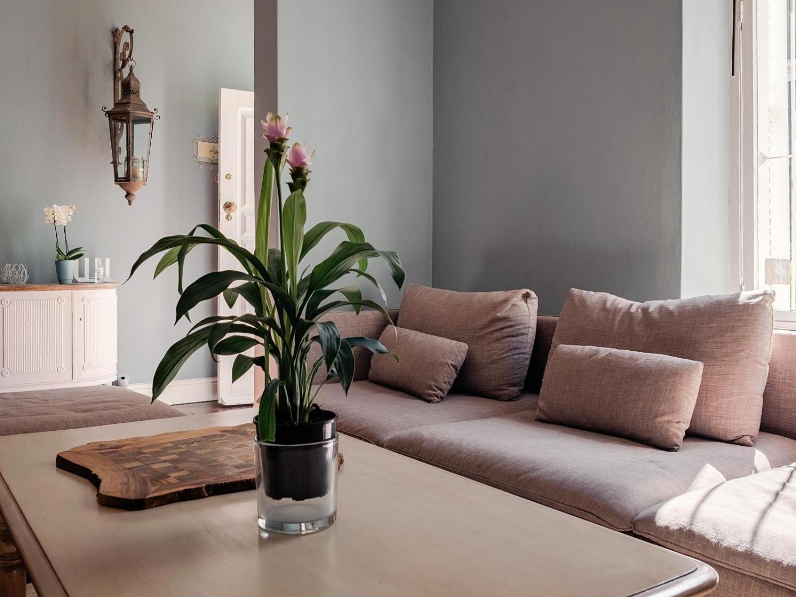 Purple House Accommodations Кейптаун Стая снимка