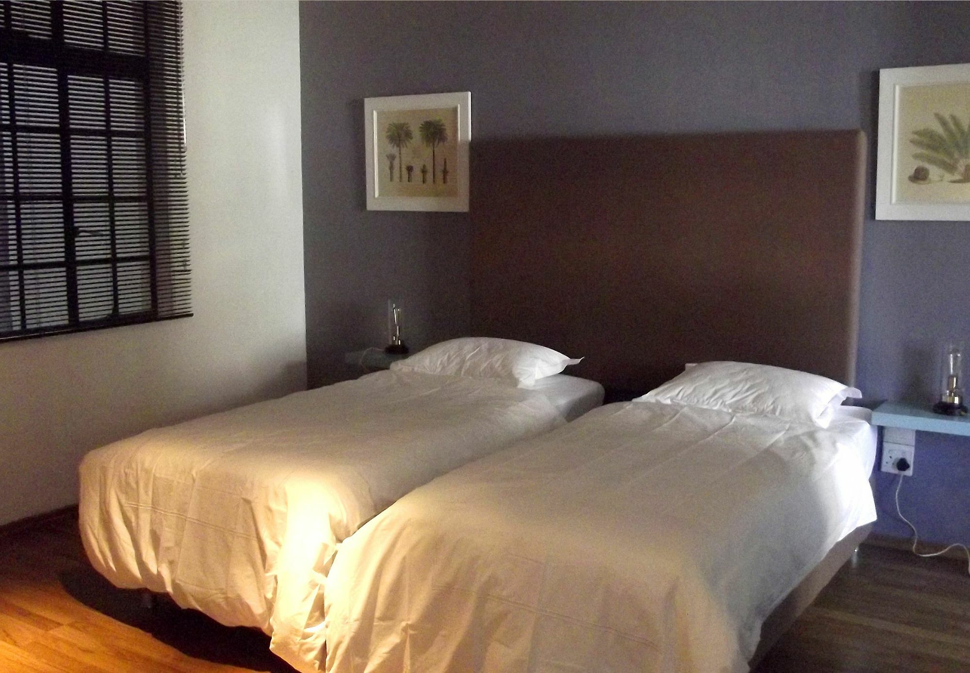 Purple House Accommodations Кейптаун Екстериор снимка